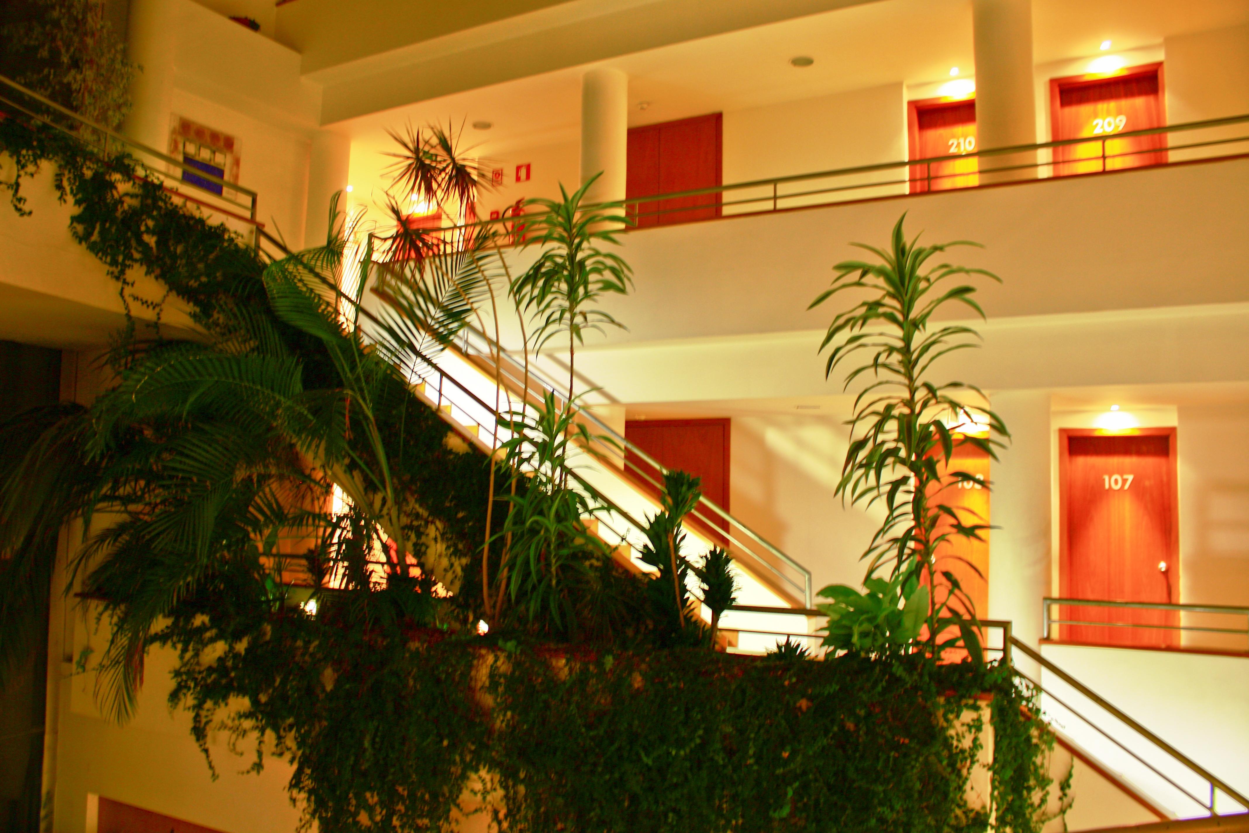 Hotel Das Taipas Guimaraes Ngoại thất bức ảnh